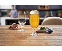LEONARDO Biertulpe Cheers 450 ml 19cm